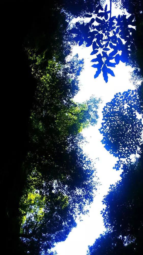石器战争